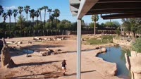Tucson - Reid Park Zoo