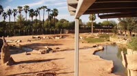 Tucson - Reid Park Zoo