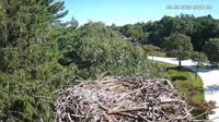 Falmouth - Waquoit Bay Reserve - Rybołów