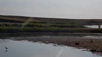 Malta - American Prairie