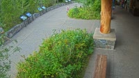 West Glacier - Apgar Visitor Center