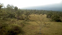 La Democracia - Monkey Bay Wildlife Sanctuary
