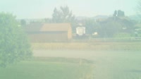 Vignette