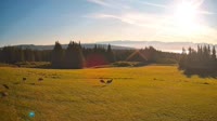 Fritz Creek - Inspiration Ridge Preserve