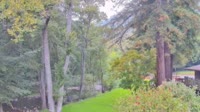 Big Sur - Big Sur River Inn