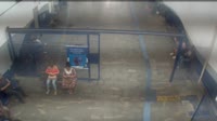 Vignette