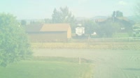 Vignette