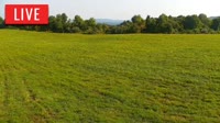 LaFollette - Hatfield Knob Elk