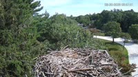Falmouth - Waquoit Bay Reserve - Rybołów
