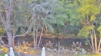 Big Sur - Big Sur River Inn