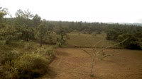 La Democracia - Monkey Bay Wildlife Sanctuary
