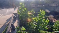 Atlanta - Peachtree Creek