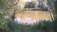 Bent Creek - French Broad River