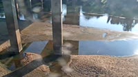 Cayce - Congaree River