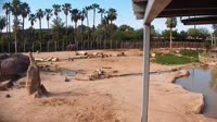 Tucson - Reid Park Zoo
