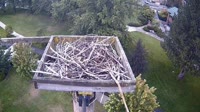 Coeur d'Alene - Osprey nest