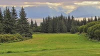 Fritz Creek - Kenai Peninsula