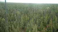 Delta Junction - Fort Greely - Taiga