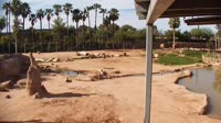 Tucson - Reid Park Zoo