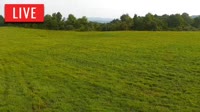 LaFollette - Hatfield Knob Elk