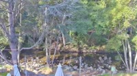 Big Sur - Big Sur River Inn