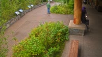 West Glacier - Apgar Visitor Center