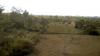 La Democracia - Monkey Bay Wildlife Sanctuary