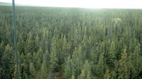 Delta Junction - Fort Greely - Taiga