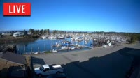 Point Roberts - Marina