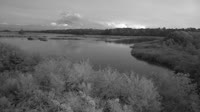 Surry - Hog Island - Wildlife Management Area