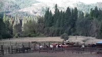 Quincy - Greenhorn Dude Ranch