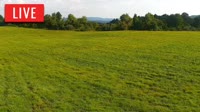 LaFollette - Hatfield Knob Elk