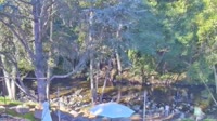 Big Sur - Big Sur River Inn