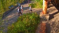 West Glacier - Apgar Visitor Center