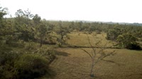 La Democracia - Monkey Bay Wildlife Sanctuary