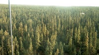 Delta Junction - Fort Greely - Taiga