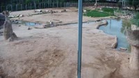 Tuksonas - Reid Park Zoo