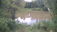 Bent Creek - French Broad River