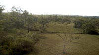La Democracia - Monkey Bay Wildlife Sanctuary