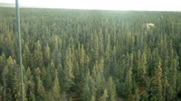 Delta Junction - Fort Greely - Taiga