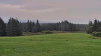 Fritz Creek - Kenai Peninsula