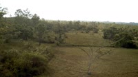 La Democracia - Monkey Bay Wildlife Sanctuary
