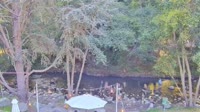 Big Sur - Big Sur River Inn