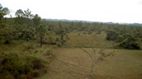 La Democracia - Monkey Bay Wildlife Sanctuary