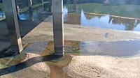 Cayce - Congaree River