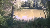 Bent Creek - French Broad River