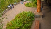 West Glacier - Apgar Visitor Center