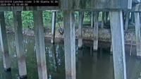 Olanta - Lynches River