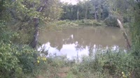 Bent Creek - French Broad River