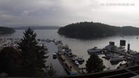 Friday Harbor - Zbiór kamer